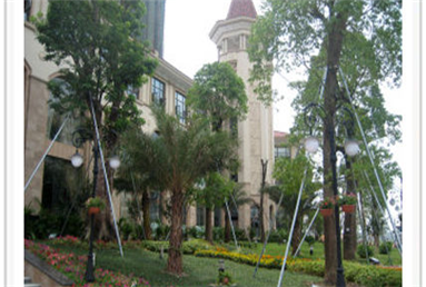 惠州龙光城五期沐鸣2门工程